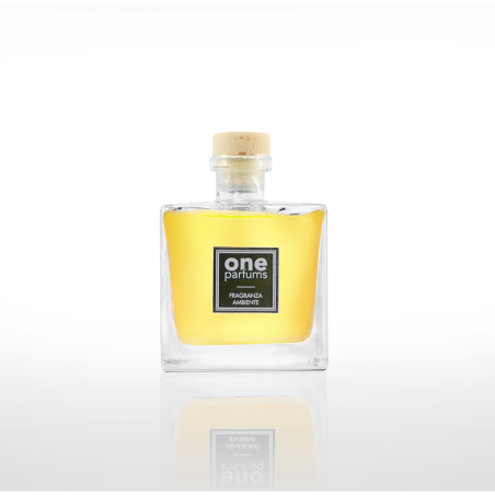ONE HF021 – ARANCIO UVA SPEZIE - FRAGRANZA AMBIENTE